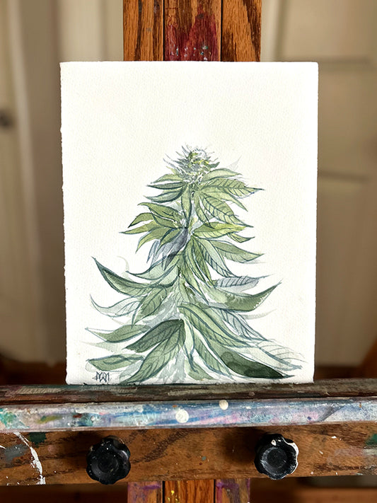 Flowering Cannabis Original Watercolor Painting 8x10"