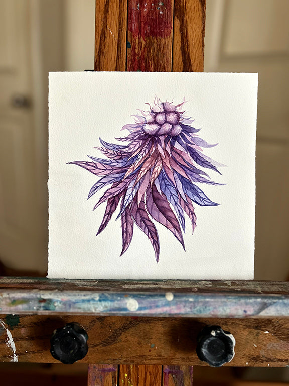 Purple Cannabis Flower Original Watercolor Painting 8x8"