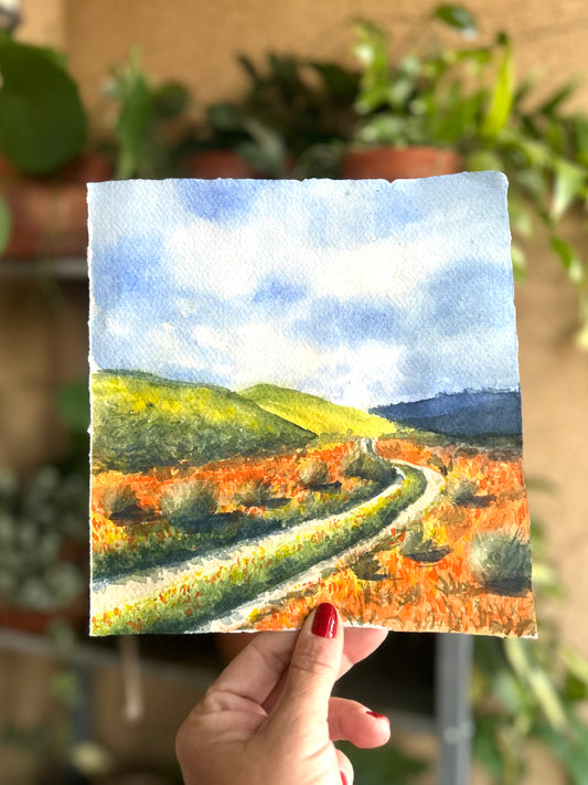 California Poppy Field -  8x8" watercolor landscape