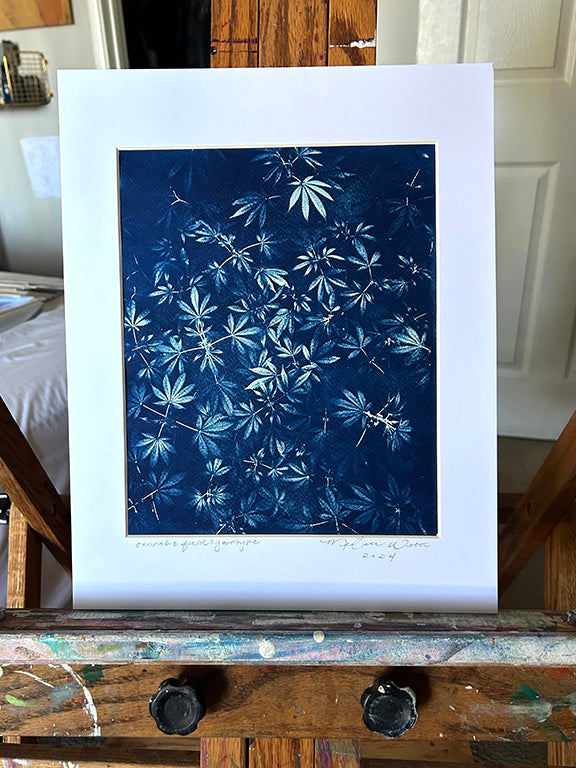 Cannabis Field Handmade Cyanotype on White Paper 2 - 11x14
