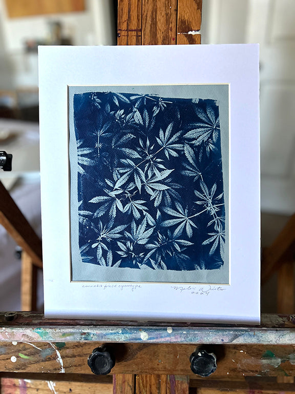 Cannabis Field Handmade Cyanotype on Light Blue Paper 11x14
