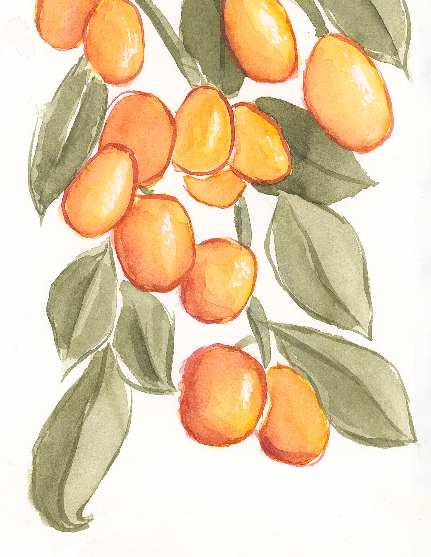 Kumquats Original Watercolor Painting 5x7"